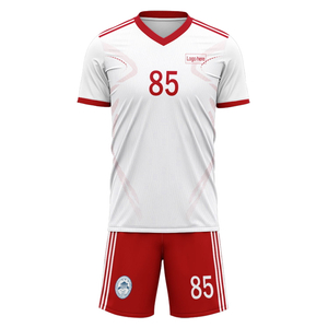 Custom Poland Team Football Suits Personalized Design Print on Demand Soccer Jerseys